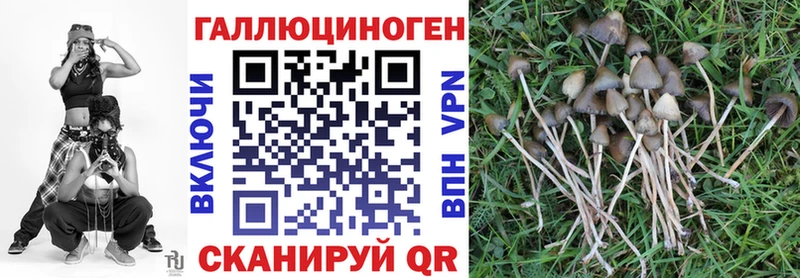 Галлюциногенные грибы мухоморы  Серафимович 